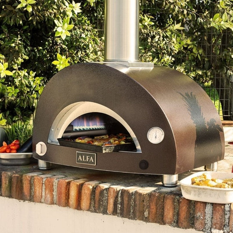 Detail Alfa Gas Pizza Oven Nomer 3