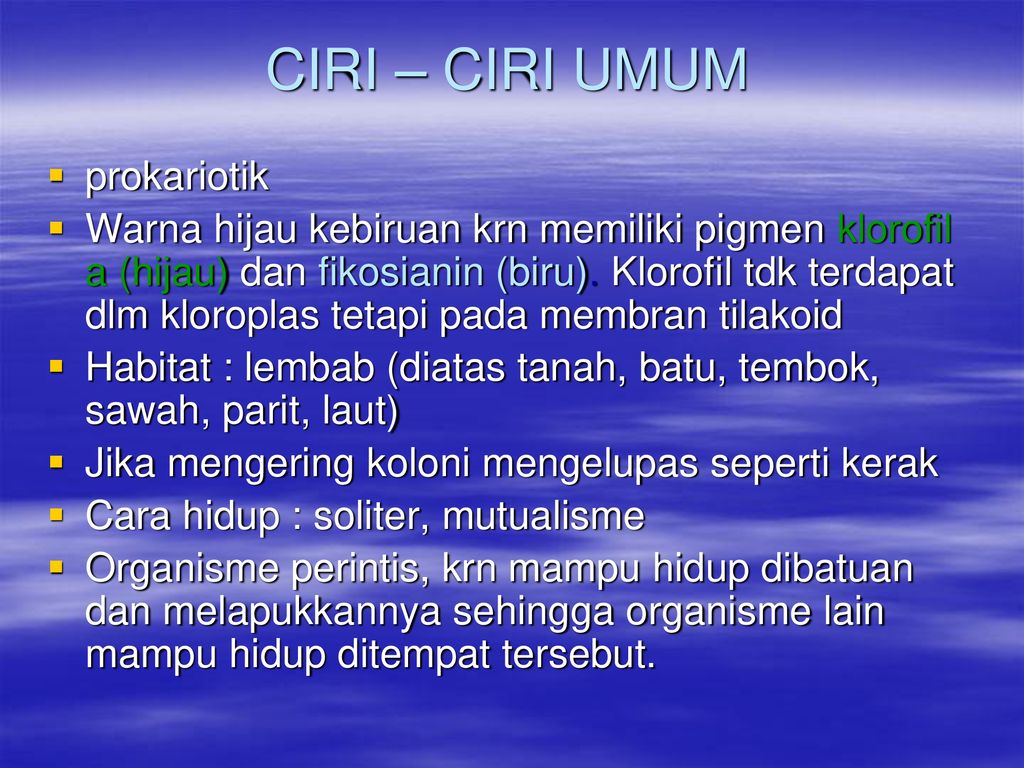 Detail Alga Hijau Biru Nomer 43