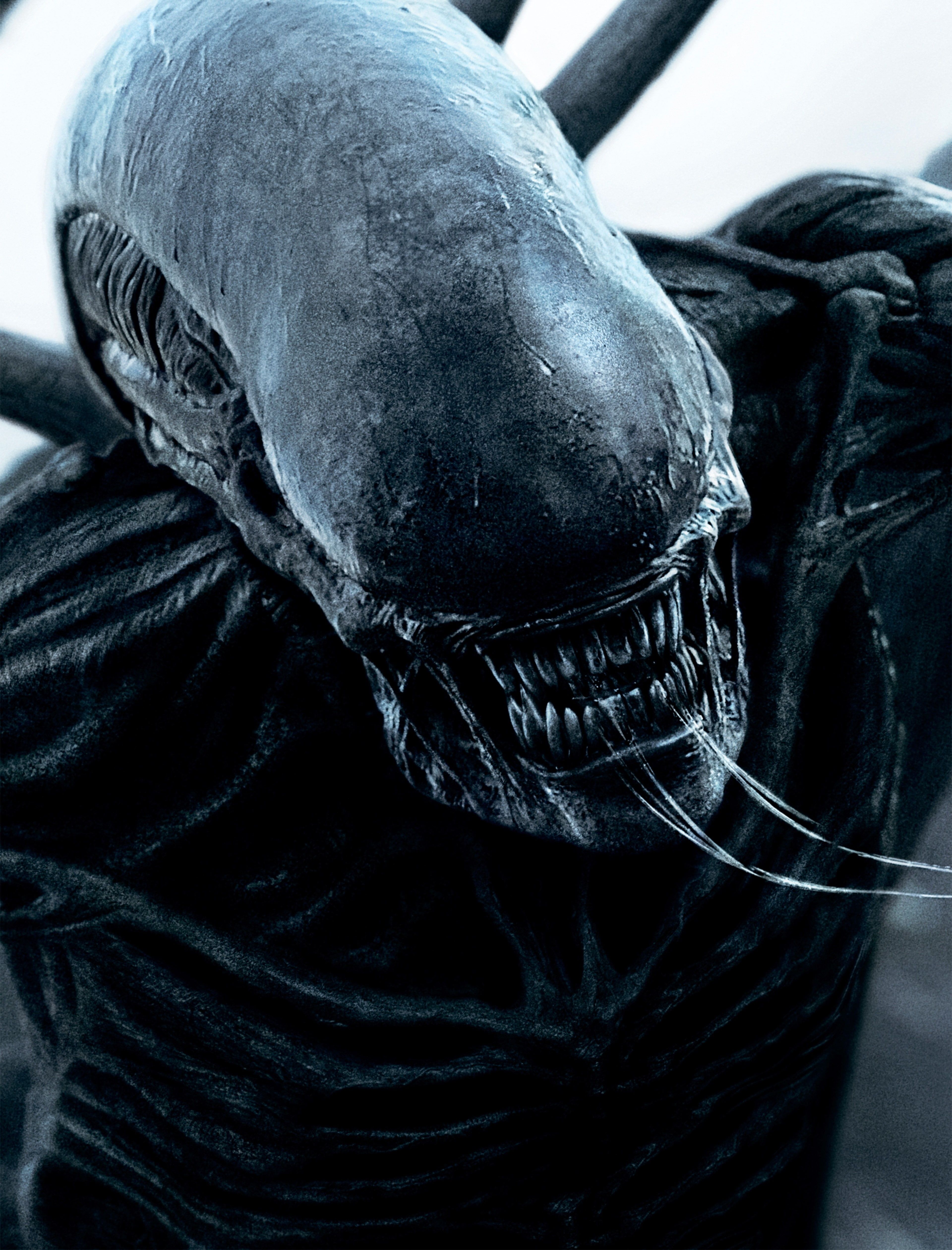 Detail Alien Covenant Wallpaper Nomer 15