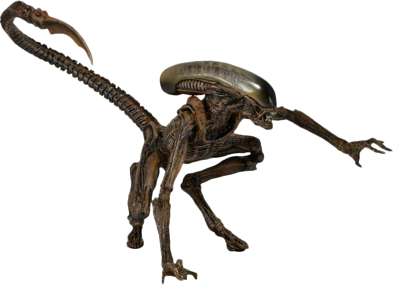 Detail Alien Download Nomer 45