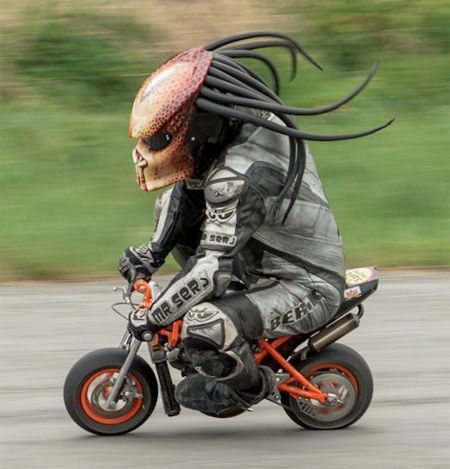 Detail Alien Vs Predator Bike Helmet Nomer 29