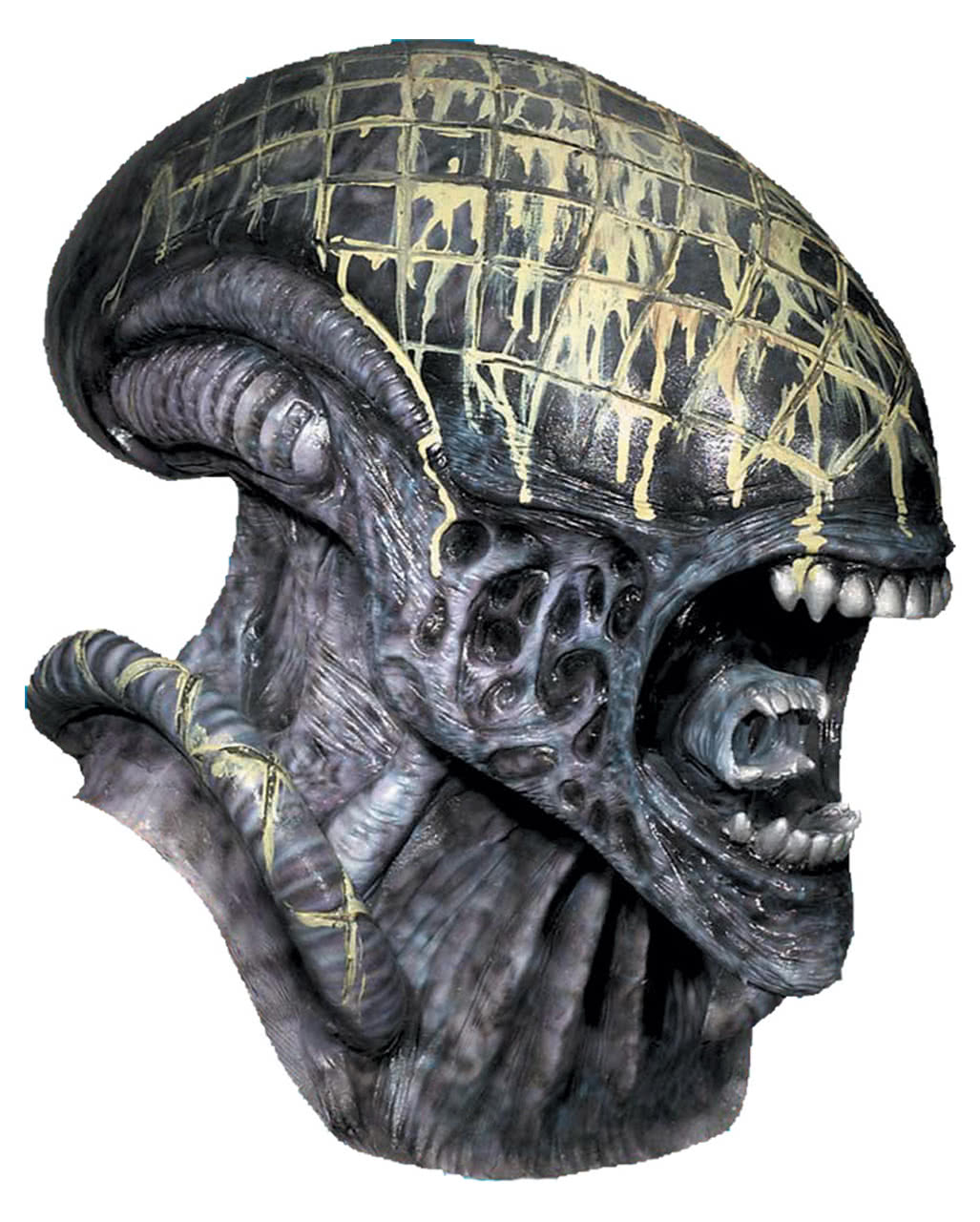 Detail Alien Vs Predator Birthday Decorations Nomer 16