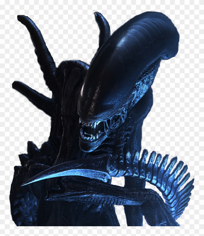 Detail Alien Vs Predator Png Nomer 2