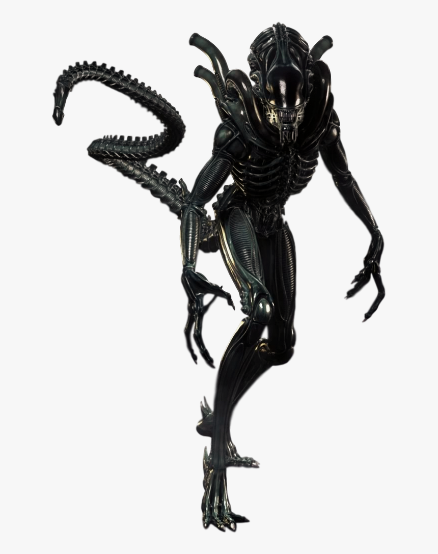 Detail Alien Vs Predator Png Nomer 4