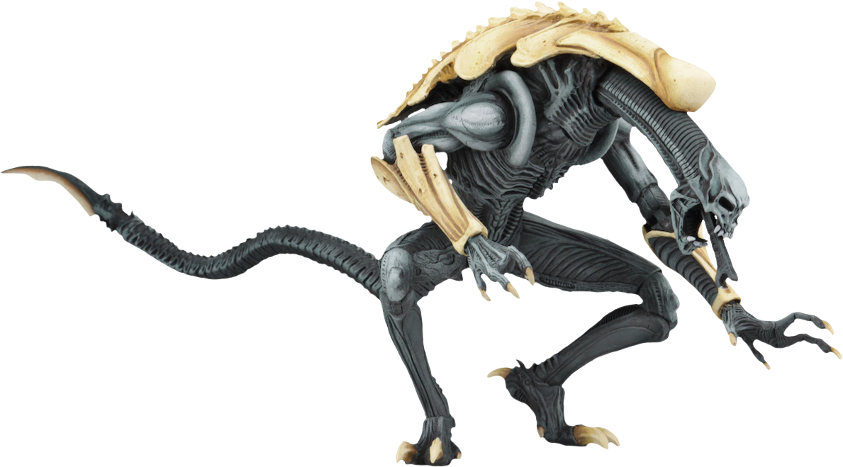 Detail Alien Vs Predator Png Nomer 36