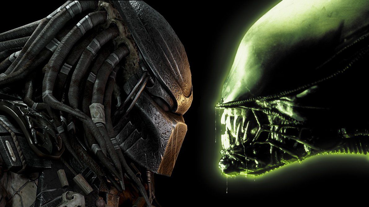 Detail Alien Vs Predator Wallpaper Nomer 3