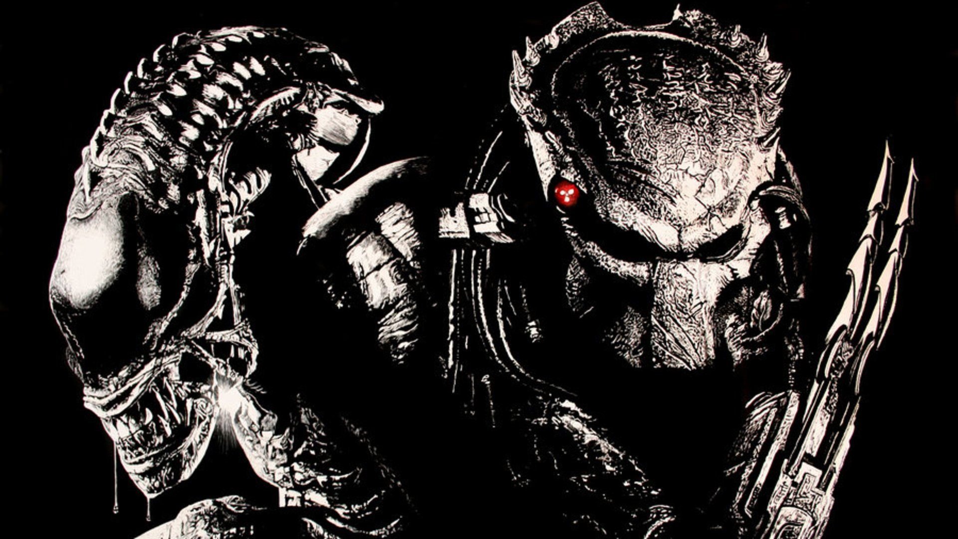 Detail Alien Vs Predator Wallpaper Nomer 21