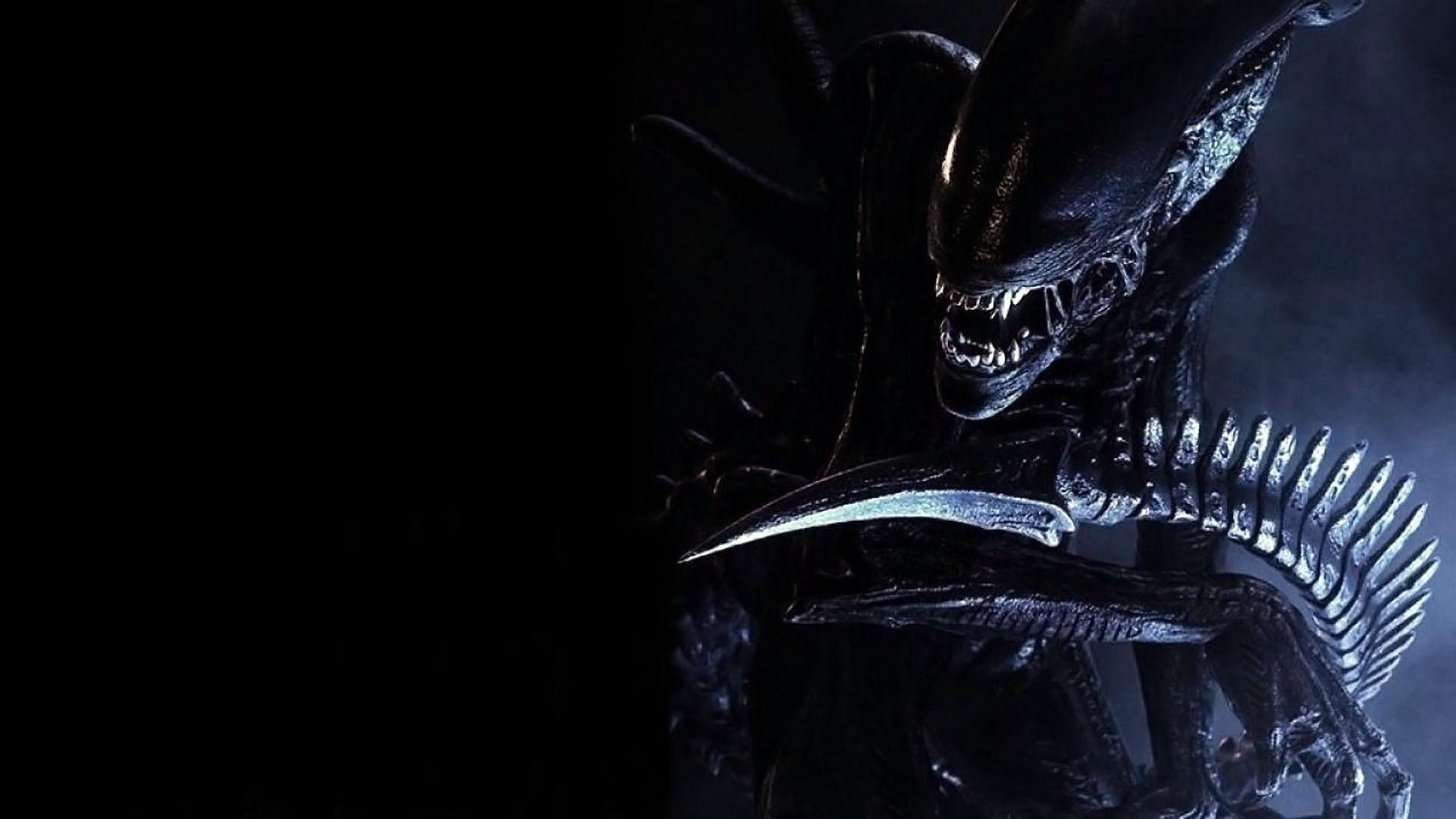 Detail Alien Vs Predator Wallpaper Nomer 32