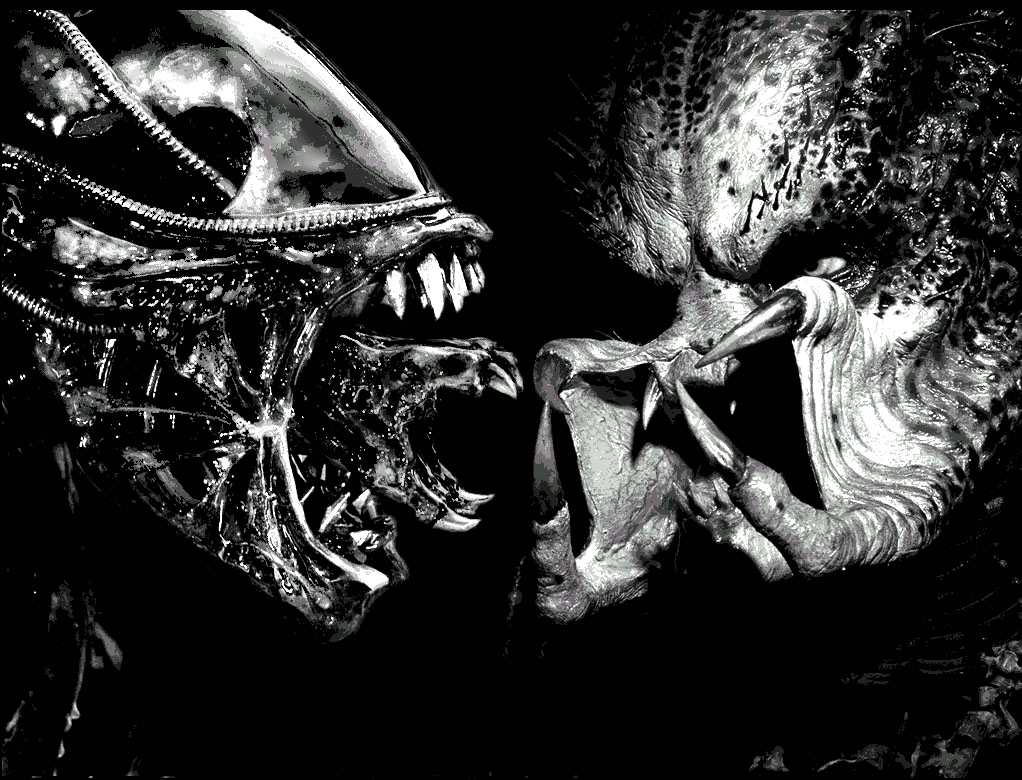 Detail Alien Vs Predator Wallpaper Nomer 38