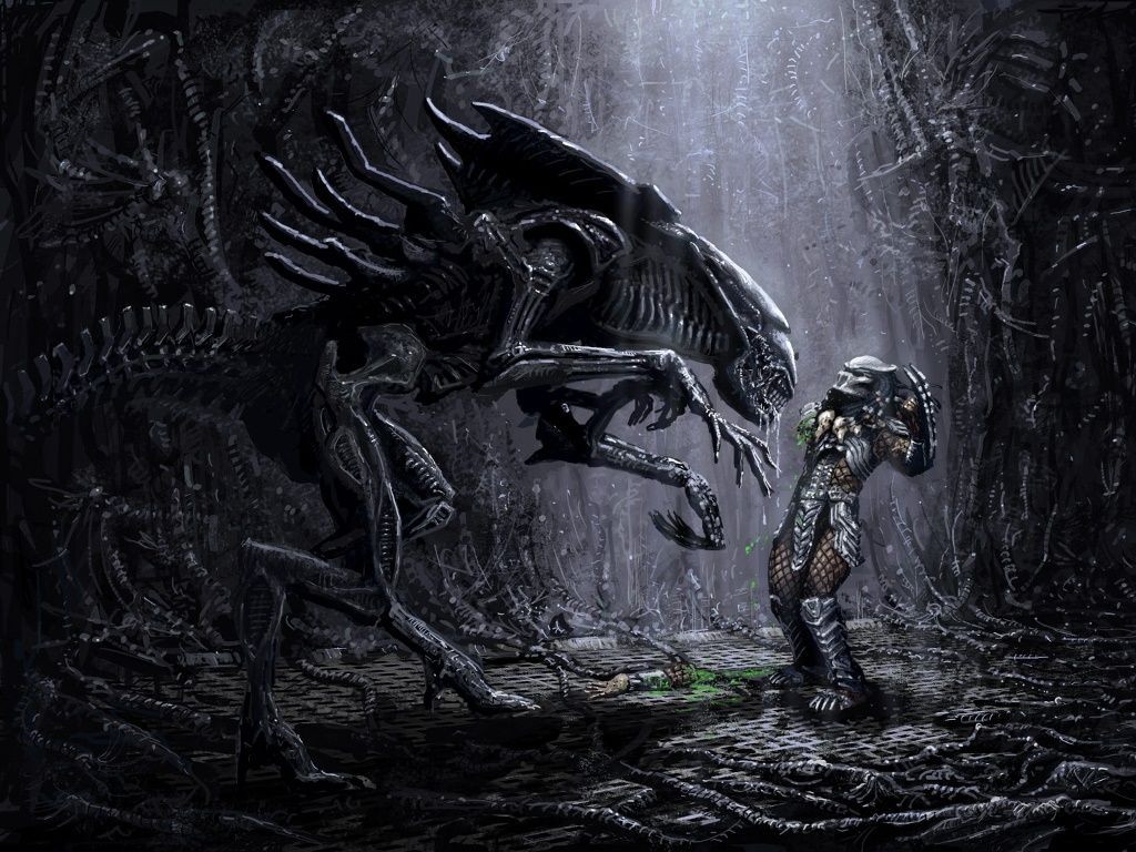 Detail Alien Vs Predator Wallpaper Nomer 50