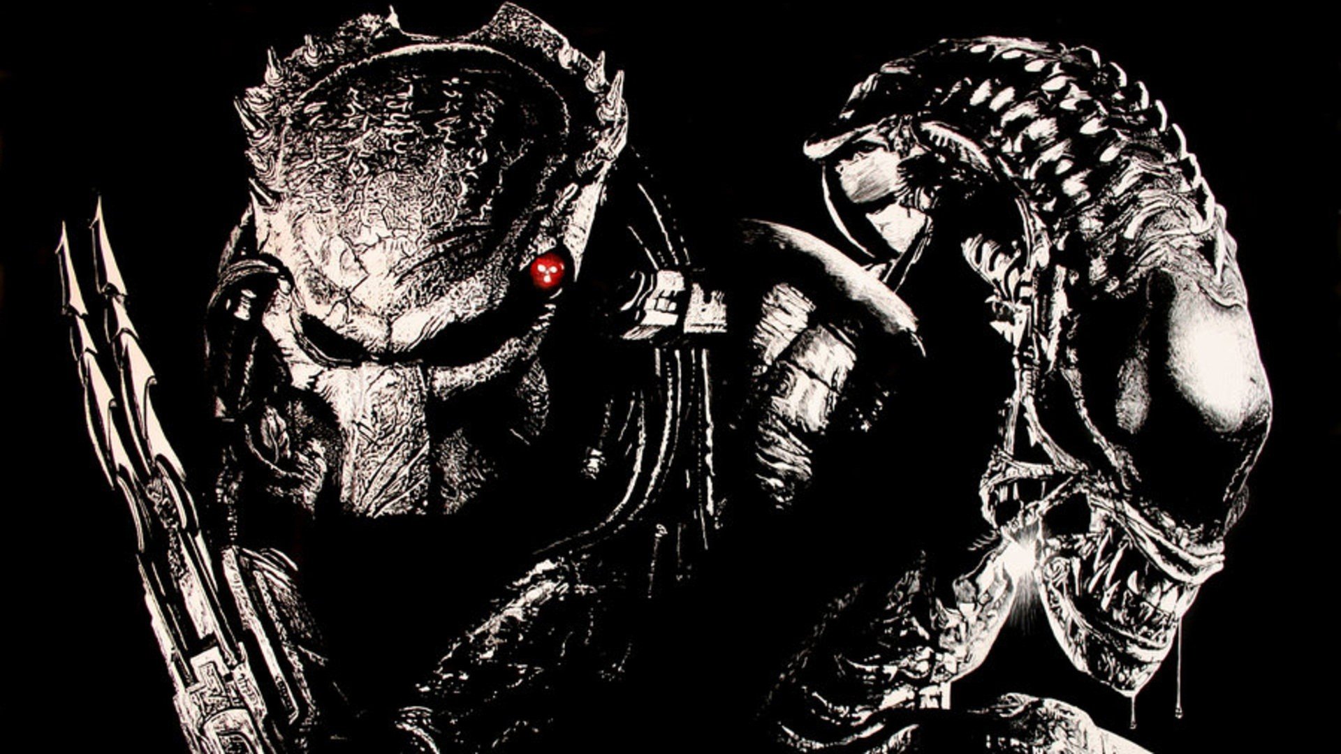 Detail Alien Vs Predator Wallpaper Nomer 51