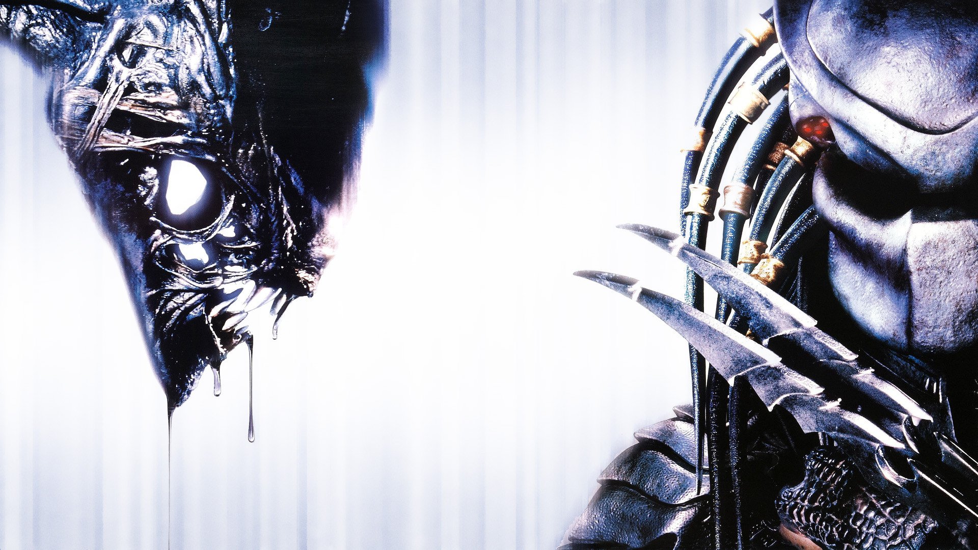 Detail Alien Vs Predator Wallpaper Nomer 8