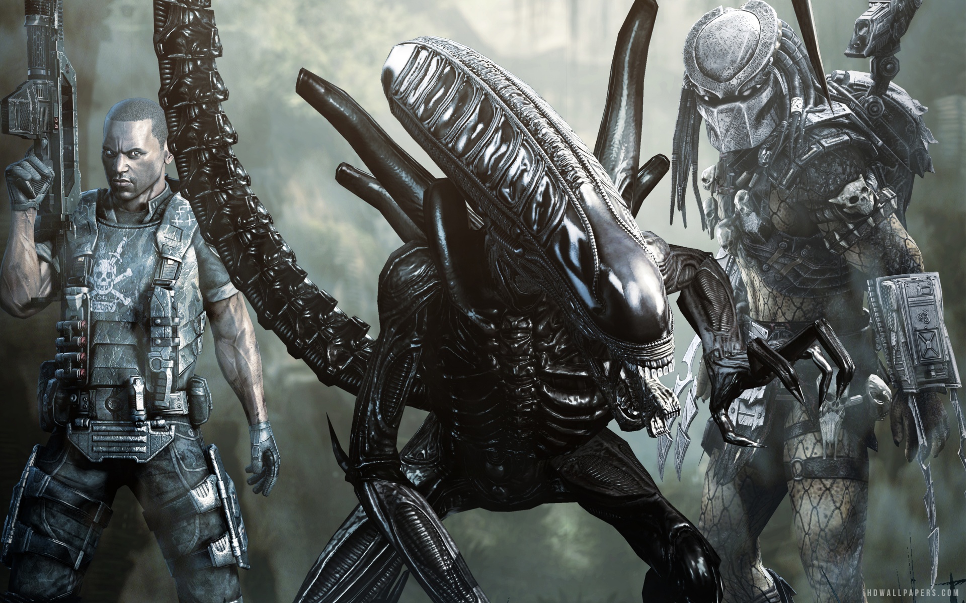 Detail Alien Vs Predator Wallpaper Hd Koleksi Nomer 19