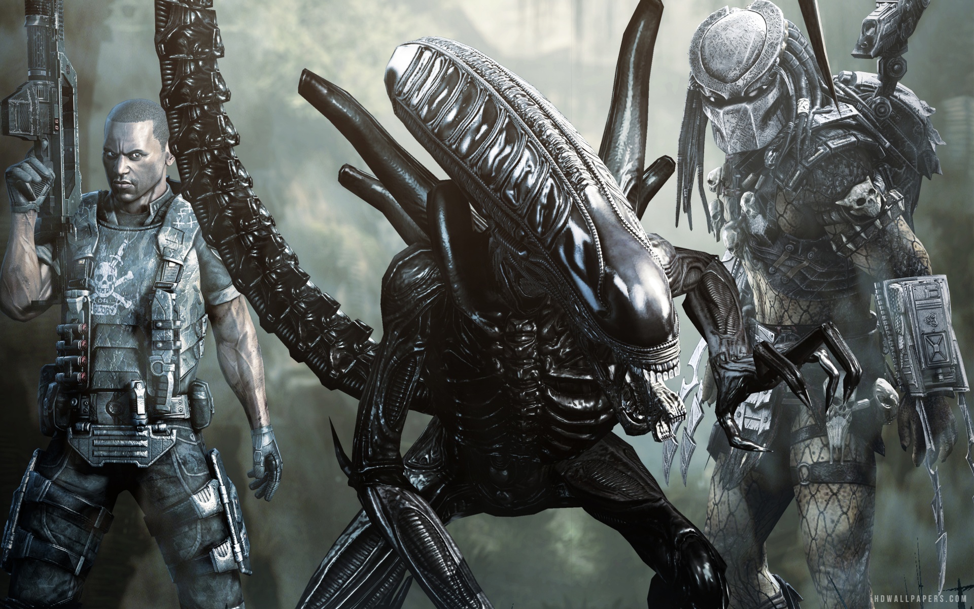 Detail Alien Vs Predator Wallpaper Hd Nomer 19