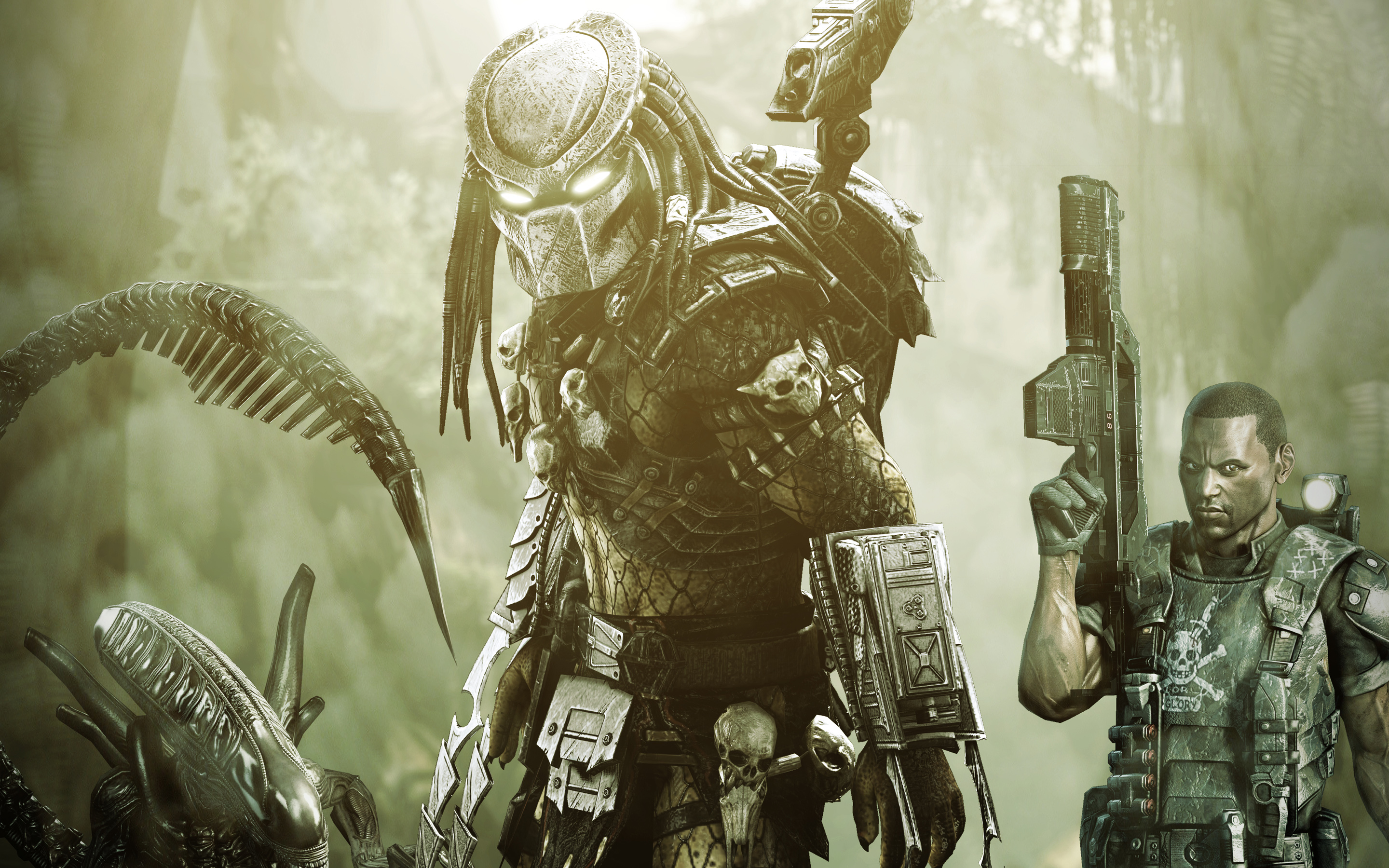 Detail Alien Vs Predator Wallpaper Hd Nomer 20