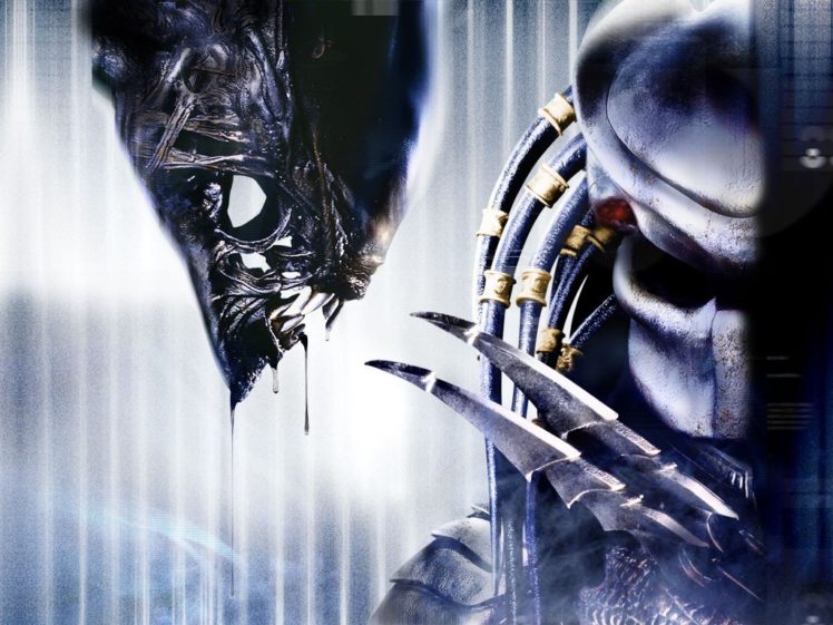 Detail Alien Vs Predator Wallpaper Hd Nomer 9