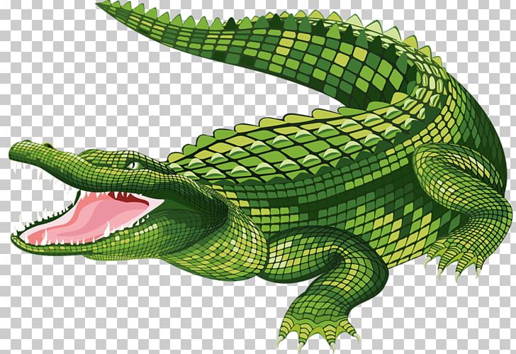 Detail Aligator Png Nomer 58