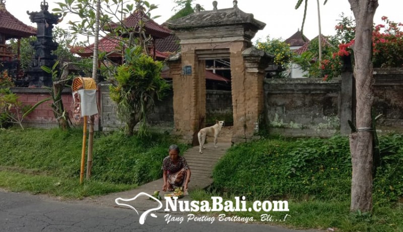 Detail Aling Aling Rumah Bali Nomer 54