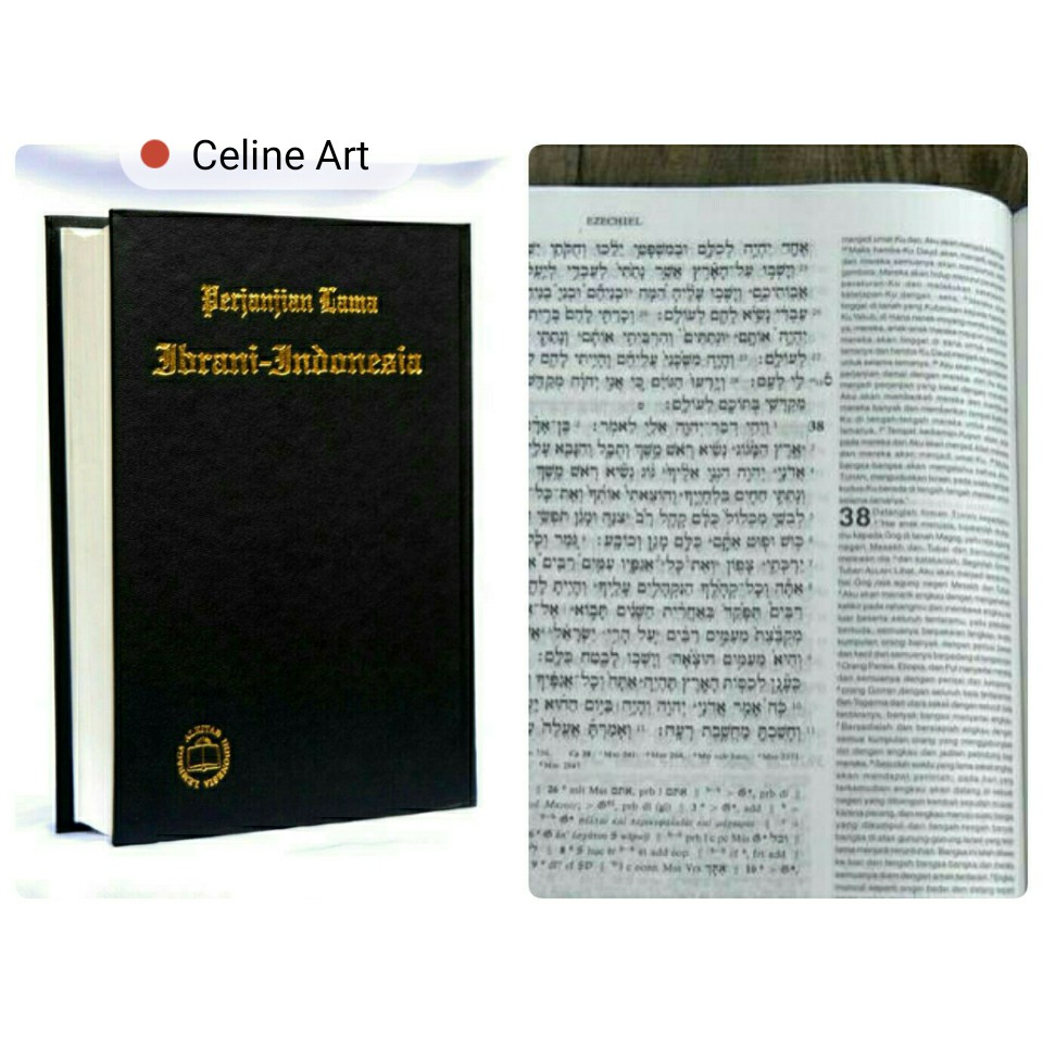 Detail Alkitab Perjanjian Lama Nomer 24