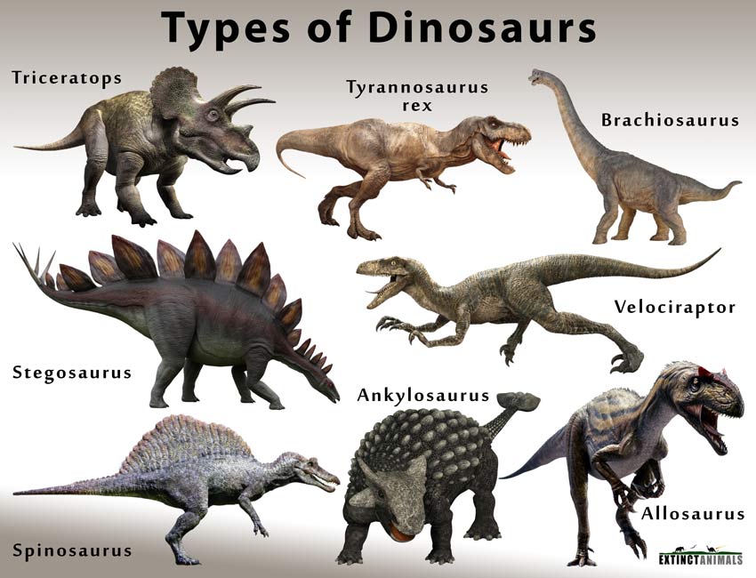 Detail All Dinosaurs Images Nomer 9