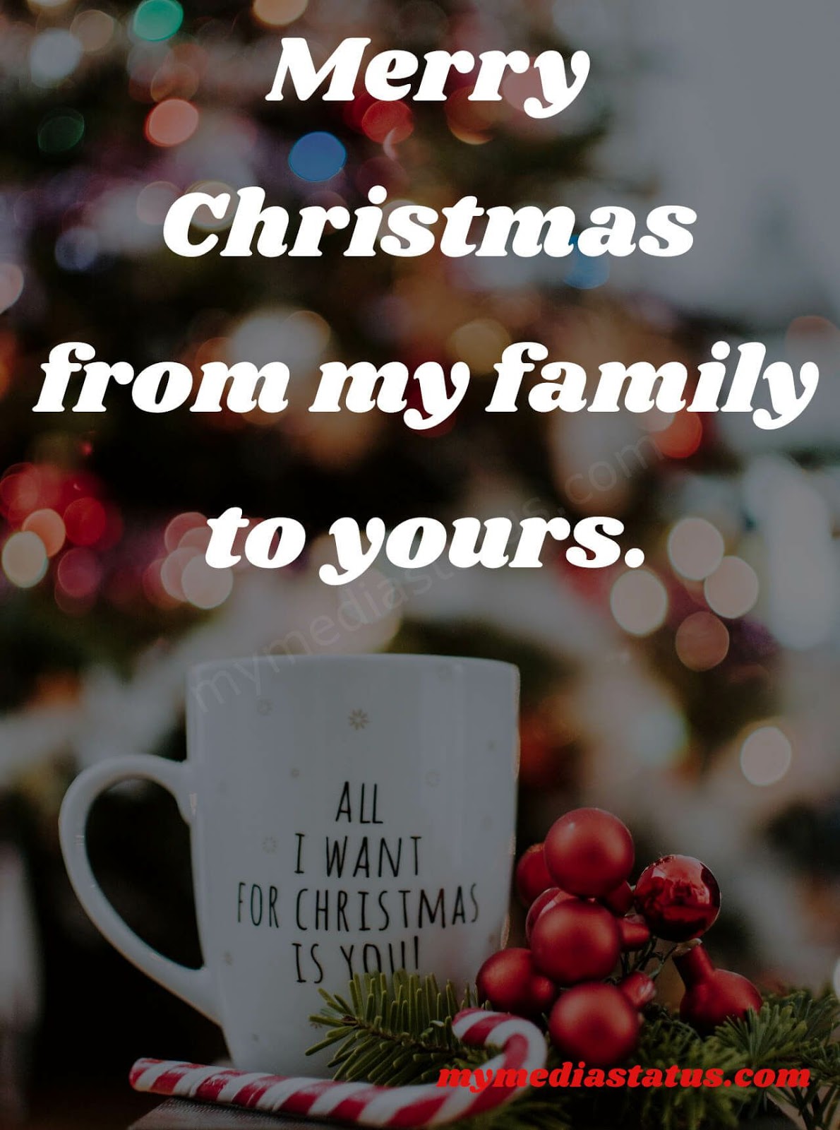 Detail All I Want For Christmas Is My Family Quotes Nomer 38