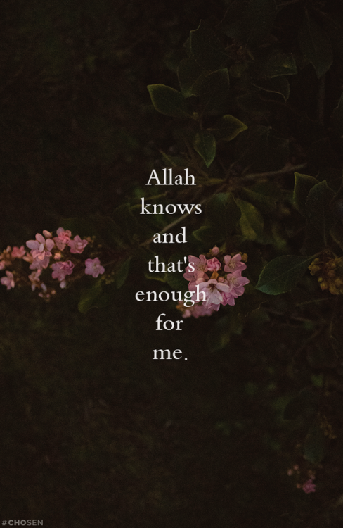 Detail Allah Quotes Tumblr Nomer 38