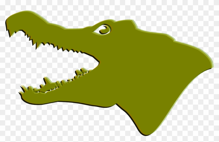 Detail Alligator Head Png Nomer 20