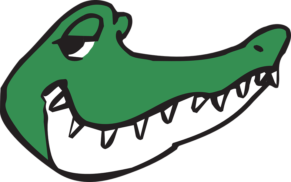 Detail Alligator Head Png Koleksi Nomer 26 2558