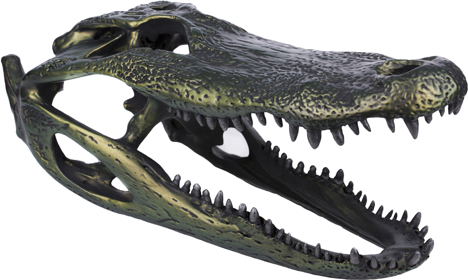 Detail Alligator Head Png Nomer 38