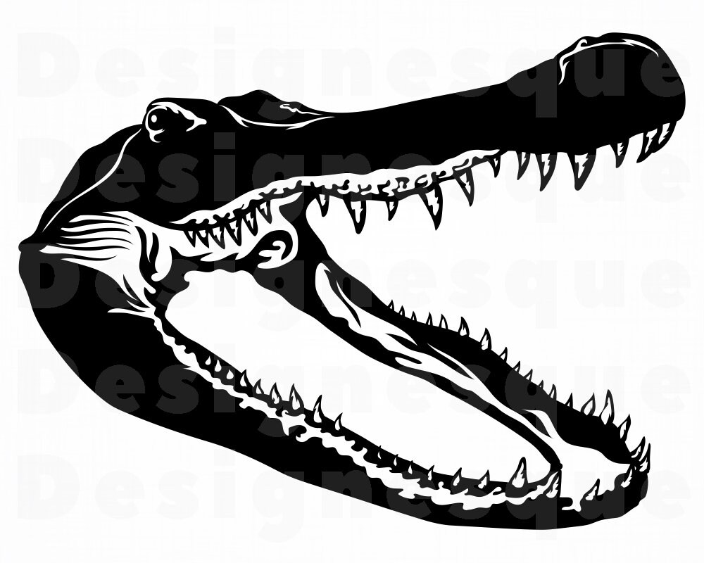 Download Alligator Head Png Nomer 43