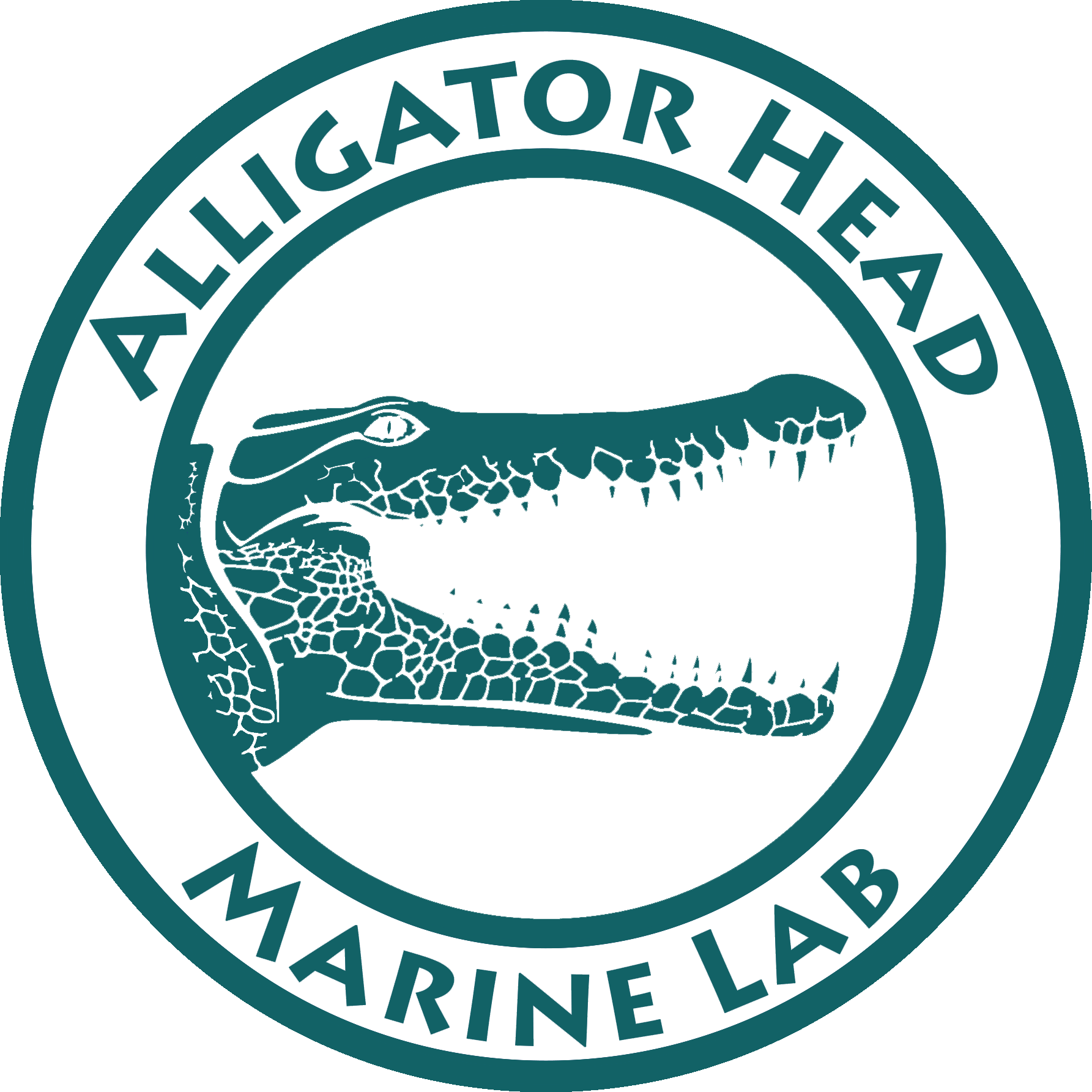 Detail Alligator Head Png Nomer 44