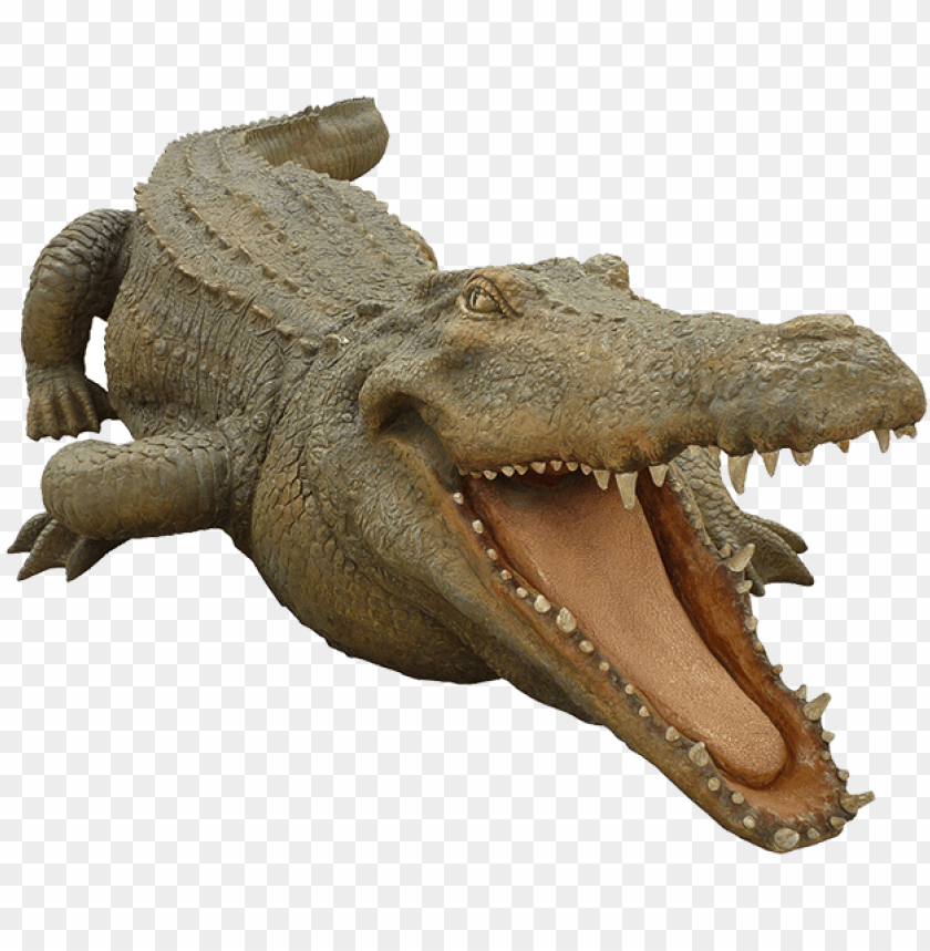 Detail Alligator No Background Nomer 18
