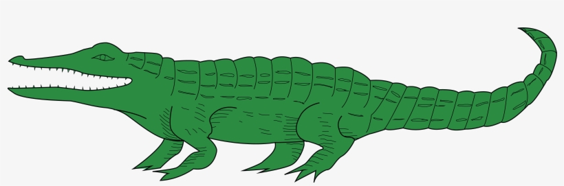 Detail Alligator No Background Nomer 27