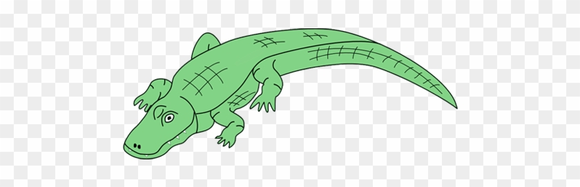 Detail Alligator No Background Nomer 31