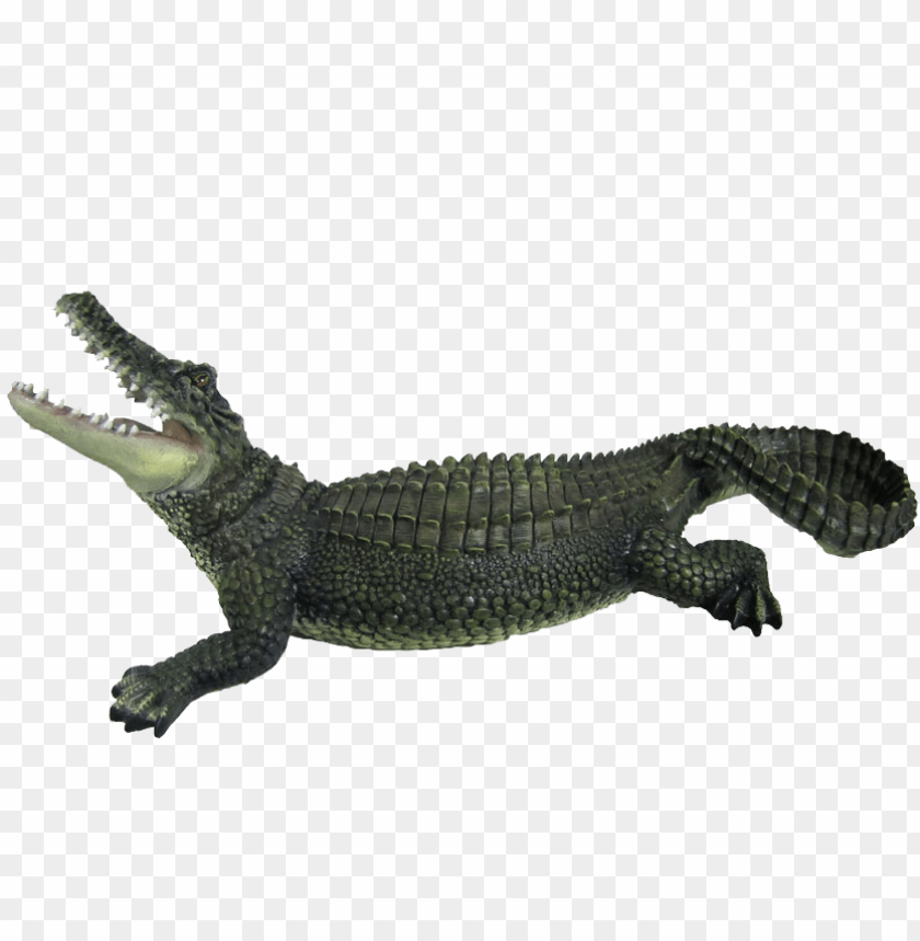 Detail Alligator No Background Nomer 43