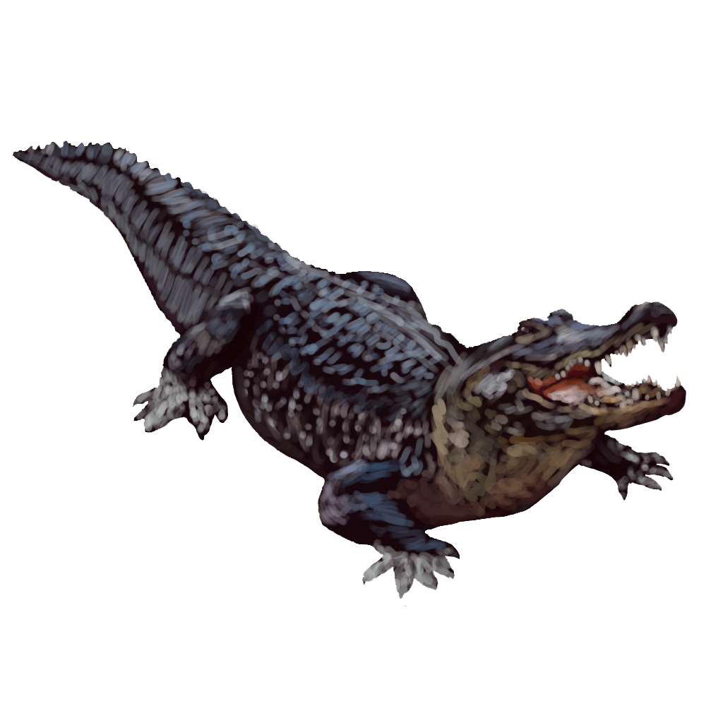 Detail Alligator Transparent Nomer 10