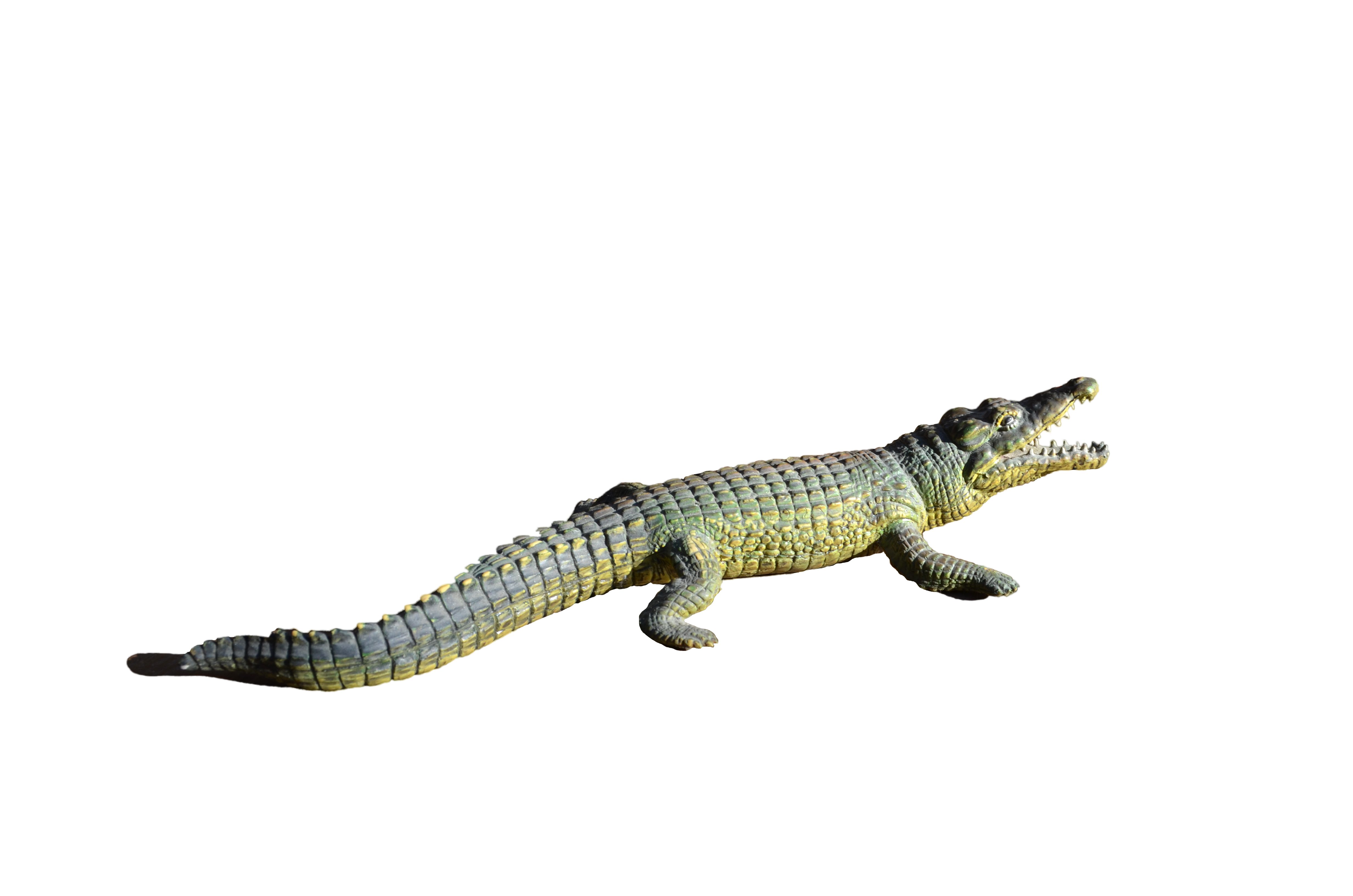 Detail Alligator Transparent Nomer 5