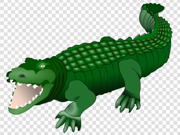 Detail Alligator Transparent Background Nomer 50