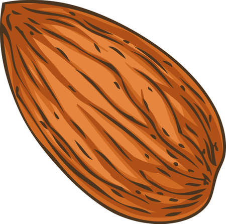 Detail Almond Clipart Nomer 15