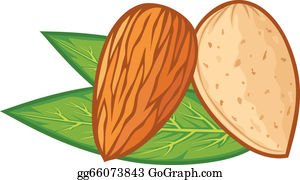 Detail Almond Clipart Nomer 31