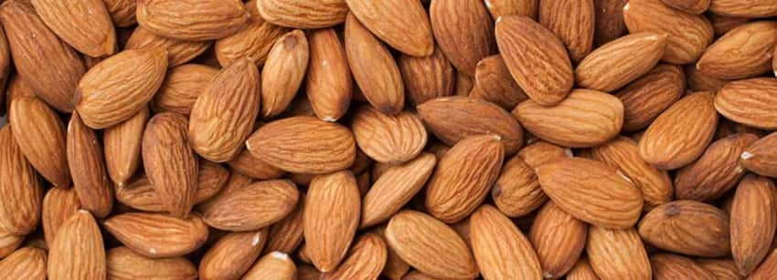 Detail Almond Images Nomer 49