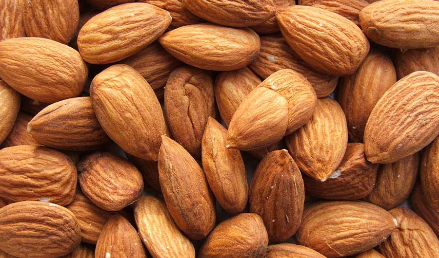 Detail Almond Images Nomer 56