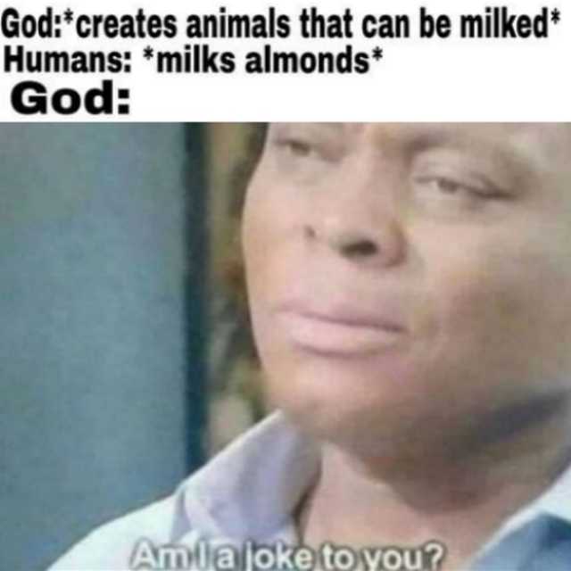 Detail Almond Milk God Meme Nomer 14