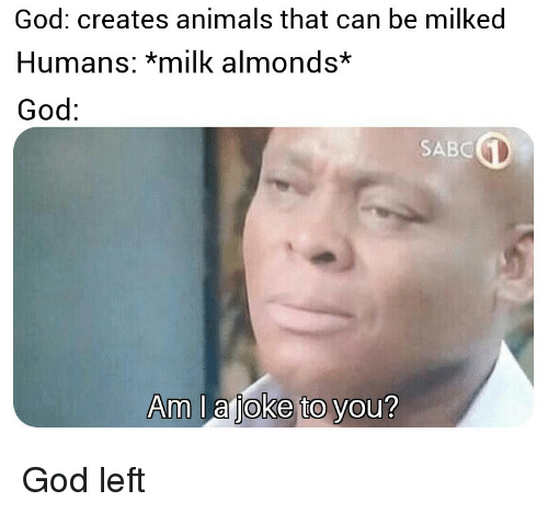 Detail Almond Milk God Meme Nomer 17