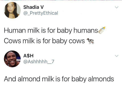 Detail Almond Milk God Meme Nomer 35