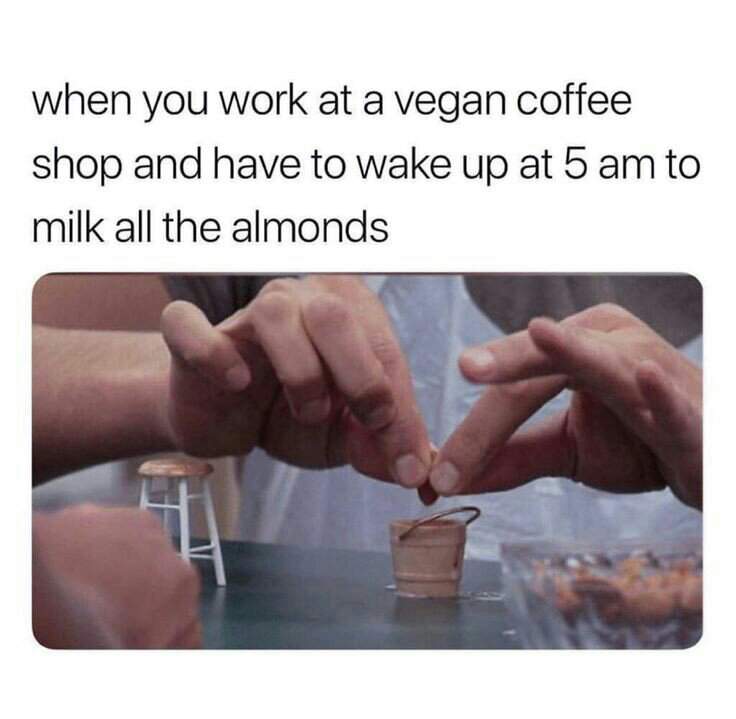 Detail Almond Milk God Meme Nomer 51