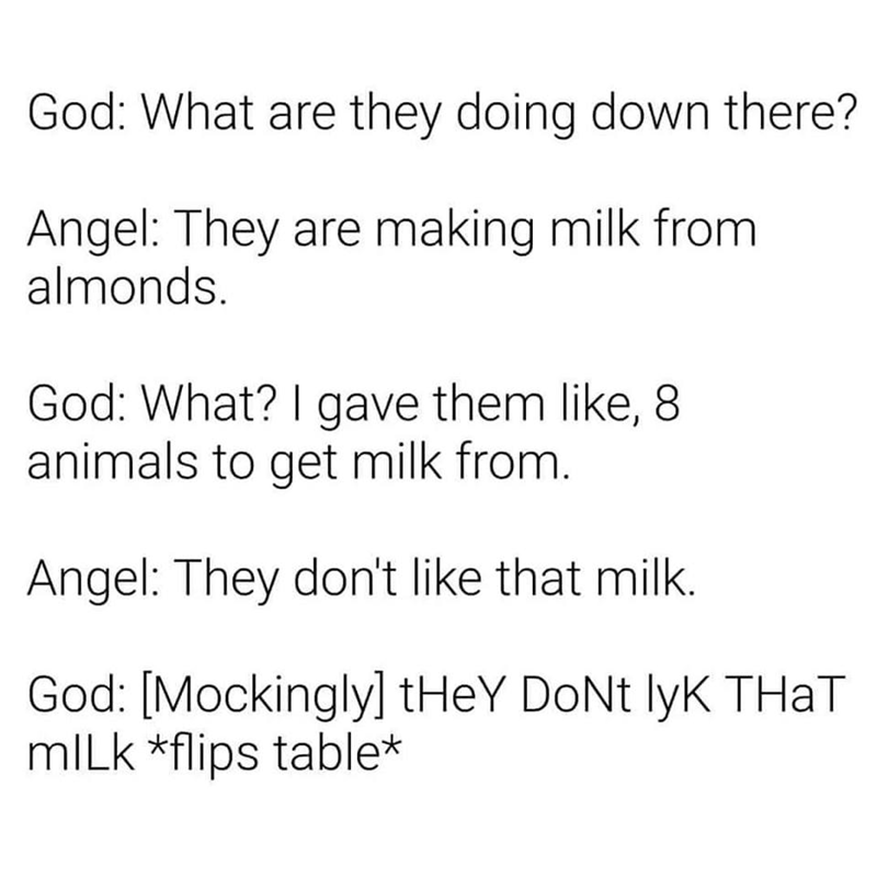 Detail Almond Milk God Meme Nomer 54