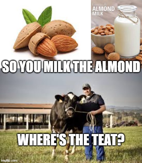 Detail Almond Milk Meme Nomer 12