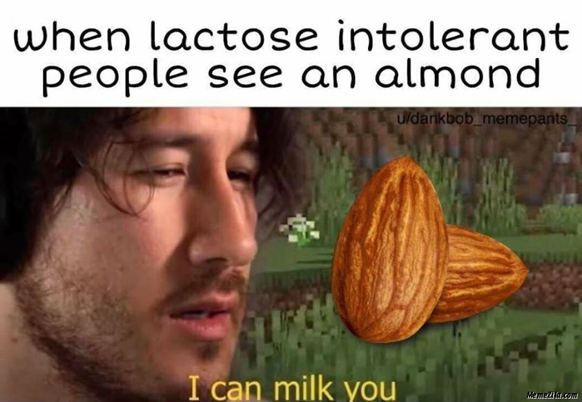 Detail Almond Milk Meme Nomer 19