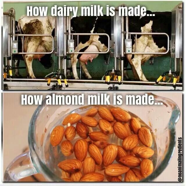 Detail Almond Milk Meme Nomer 20